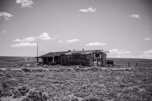 Item #44465766653785609870851624606881938772704909721973513553838201784085440888833 Media