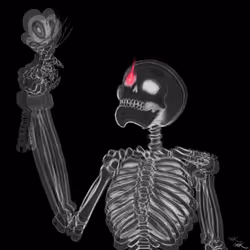 AWAKENING series: X-RAY