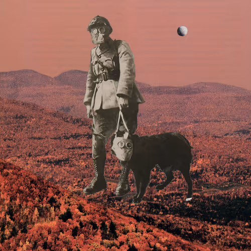 54403465519986223114927810355137498436561943124200988837266329128186819903508