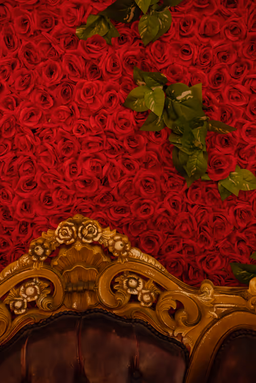 Item #85609240710973135230976347674677612252797211921103835166901622387360617463813 Media