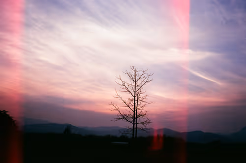 Item #39751179784582384038417708037635315831979878647578552707243286043548727640065 Media