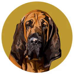 54766349128176429303044182404049584425310907481653304317570413828677751013377