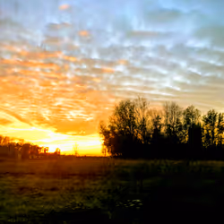 68021680421370609917971695803708180506045537231368972803899735126307372007425