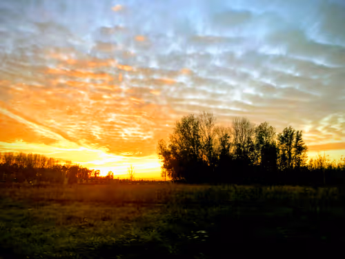 Item #68021680421370609917971695803708180506045537231368972803899735126307372007425 Media