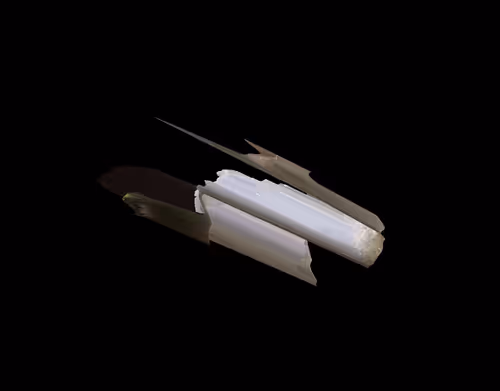 Item #443046721626097285787030207035412645462013923737642544411410141325337559041 Media