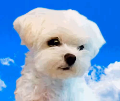 Item #21477548388787063266658748687199700189937005018840532589754440265576017297409 Media