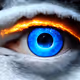 110072407387594769047740403718703012514748514364231796587634371500381839556609