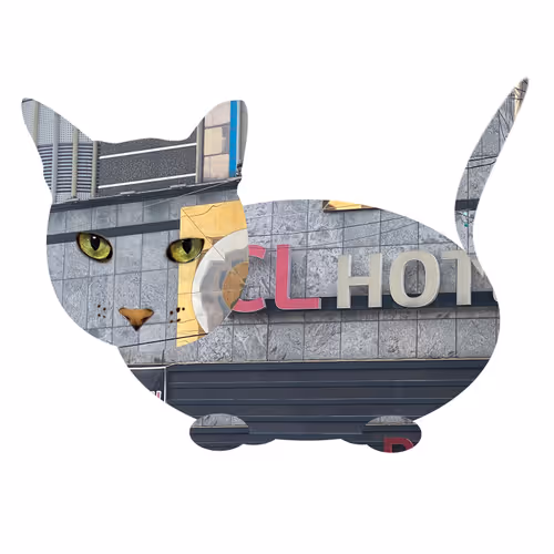 Item #7075100801842414929541159204983769780243264764604993181312715149978103709697 Media