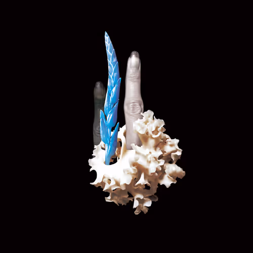 Item #58881391879356848682367030101924450645791658220730460031354841125290206298132 Media