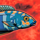 Findurnemo Genesis
