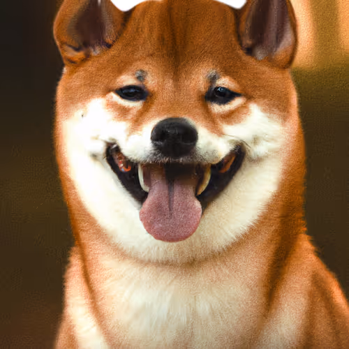 Item #34470142884482375674331152583341387110725961593908059002011227507066966900737 Media