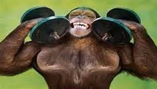 Item #42676853073221967326163259368442360405990501385821233772546254938580617003009 Media