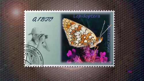 Item #105973246943151987345213410235211569025683575939462317992466355582270120656897 Media