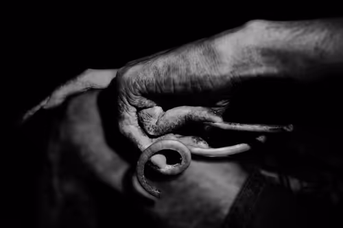 Item #70709754809106811392742252516309767364027137377467956991874521151104117374977 Media