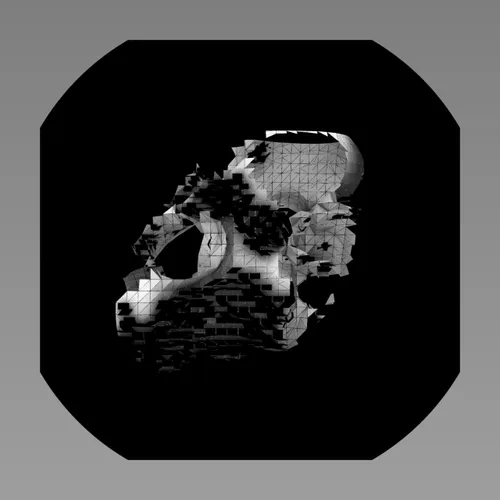 Space Modules
