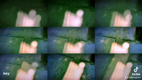 Item #7492014197175371295993437747185923975564654594515035294338329516724631633921 Media