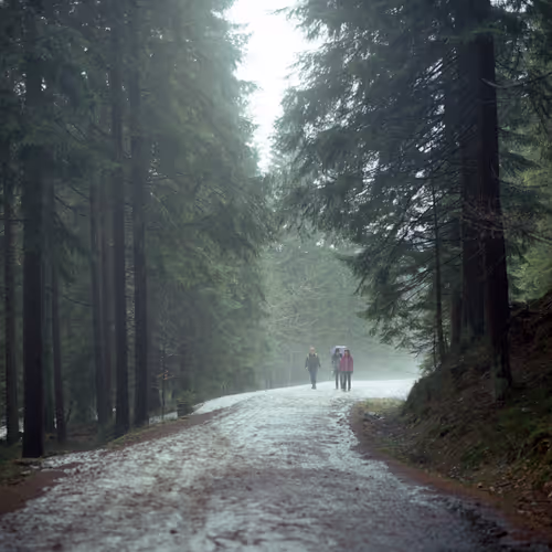 Item #30121090533068634730460792685537461567950127940617948076373458109057216806913 Media