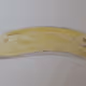 Bananas for All