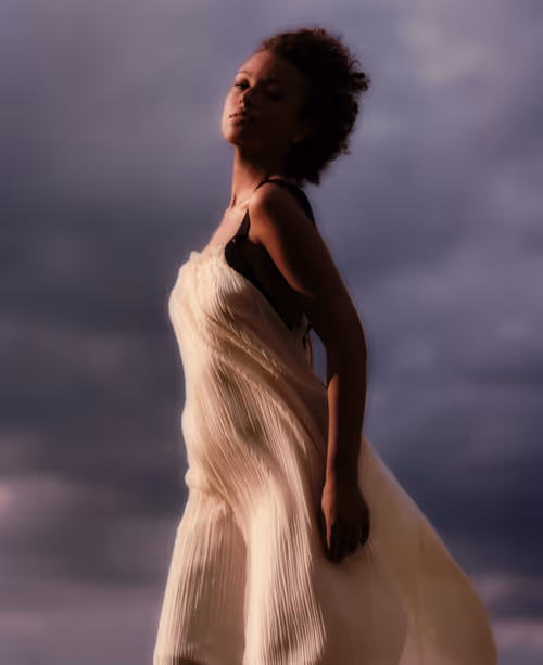 Item #33236787763217708342919222781243966948826308634410916301259422221247195381761 Media