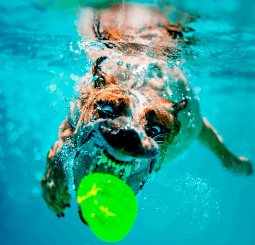 37123996989530421987136975137658183601992874580997828356353120941843773652993