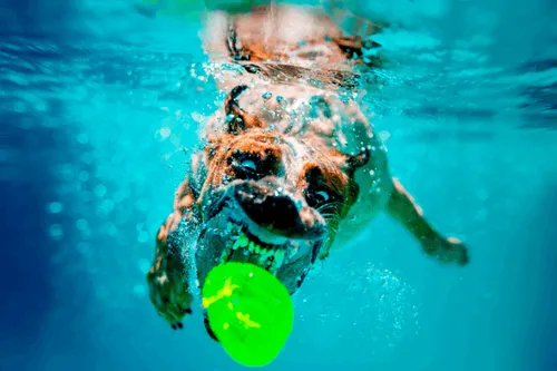 Item #37123996989530421987136975137658183601992874580997828356353120941843773652993 Media