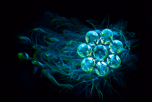 Item #36961558667508468901754344417864317572364831153456800218286957976447124242433 Media