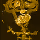 Jelly SKELLY