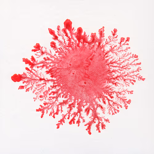 93517858934538610296799104720857224042243540248850289661824237404499050758145