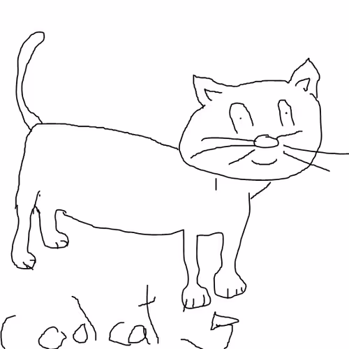Coolcats