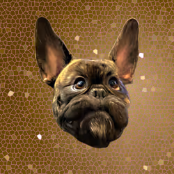 Otis Magoatis - Space Time Continuum Gold