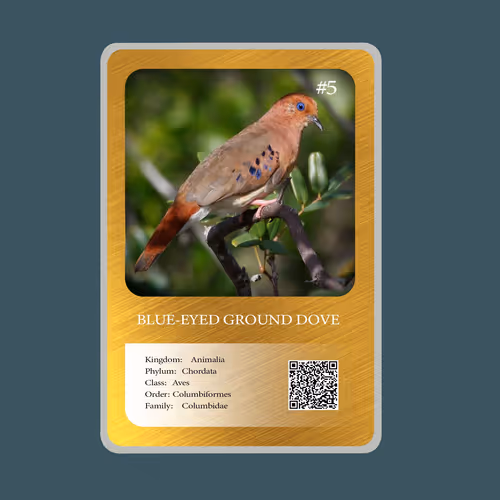 Item #20886832718642689244376634643648949640883698673827989316943493369477008982017 Media