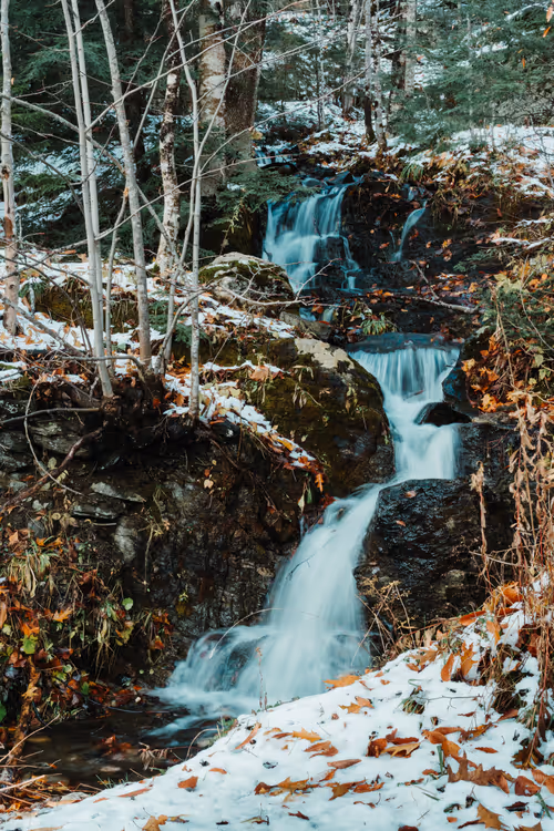 Item #11823596008958279649745844571271956333298936525700857190365537789689301303297 Media