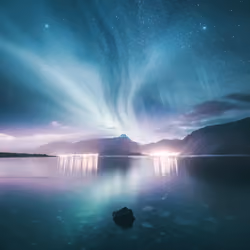 Arctic Flow