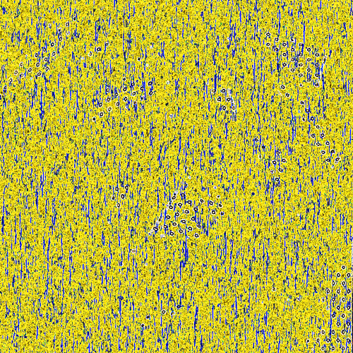 2807211227970753094502405668608491016000177280909678085042862491106359115777