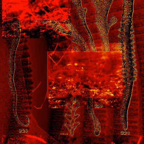 91754164606506966575596469571565985485613429950187136926502423077110620880897