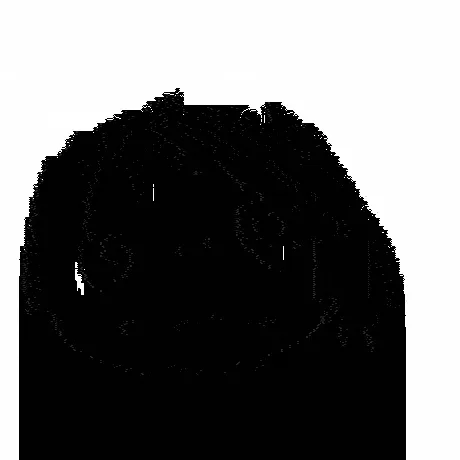 Item #44308759172766525213647848090733166968336206561675547379996411669656845156353 Media