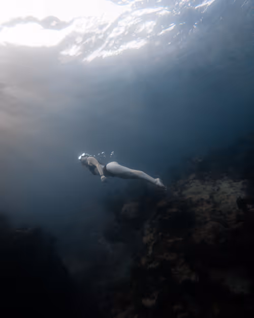 Item #66194589098145771714541131276235575166397887892718389200878874104789003665409 Media