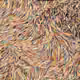 102759459315461170583474475029171337921512060972705760351725688493800962392065