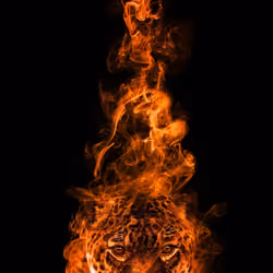 burning tiger
