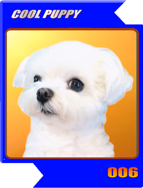 Item #21477548388787063266658748687199700189937005018840532589754440348039389380609 Media