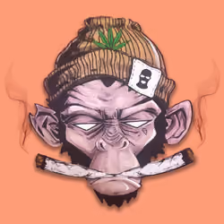 Stoner Ape 1