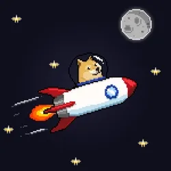 CryptoRider #002 Doge