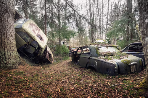 Item #12380643742834719912918023214587921165200821419383689299848195901792064634881 Media