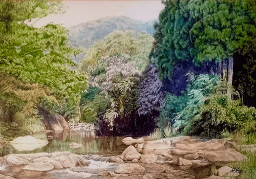 yuji_7581 Collection