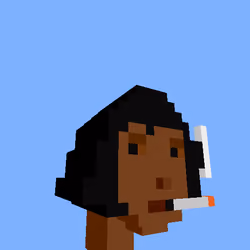 PunkVoxels #9013