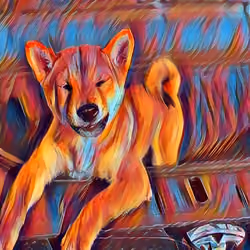 Elon Musk Dog Folki #54