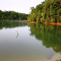 Amazon/Brazil - Diversity of Local Nature #012