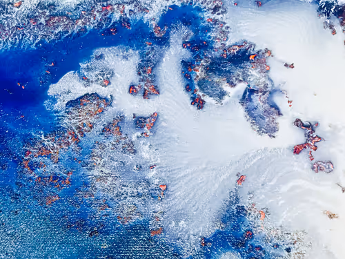 Item #11071991194666046124730794523060237623199268044781053194957188856272247586817 Media