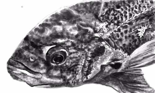 Item #32979819915847657134905122464144943056954992387867001458806650752195740303361 Media