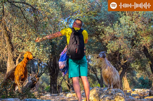 Item #107978139147131831661941634405889412338959910345453465515168770606429861052417 Media